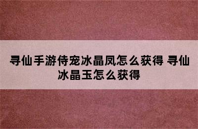 寻仙手游侍宠冰晶凤怎么获得 寻仙冰晶玉怎么获得